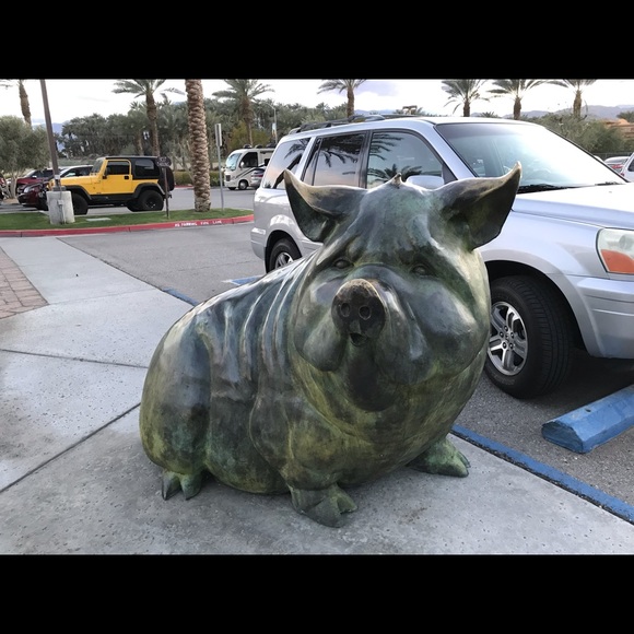 Meet your Posher, Mynor - Picture 1 of 1